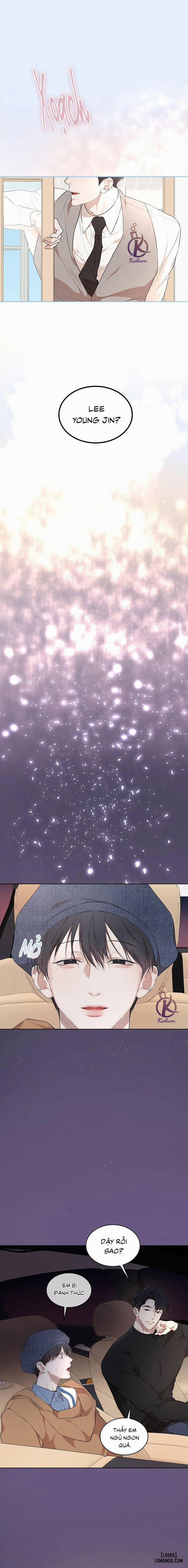 Hình thái khởi sinh 65 trang 17