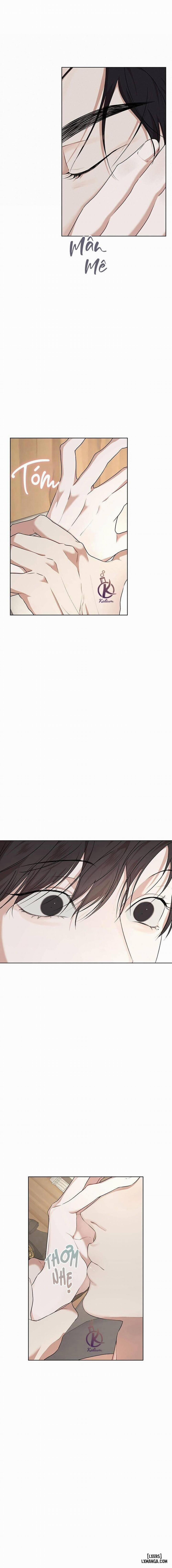 Hình thái khởi sinh 66 trang 2