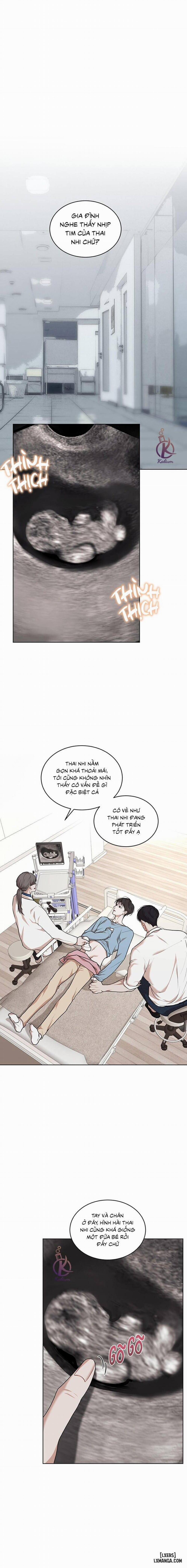 Hình thái khởi sinh 70 trang 5