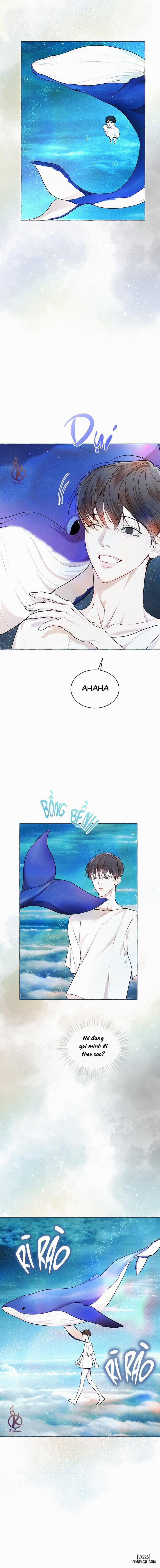 Hình thái khởi sinh 71 trang 9