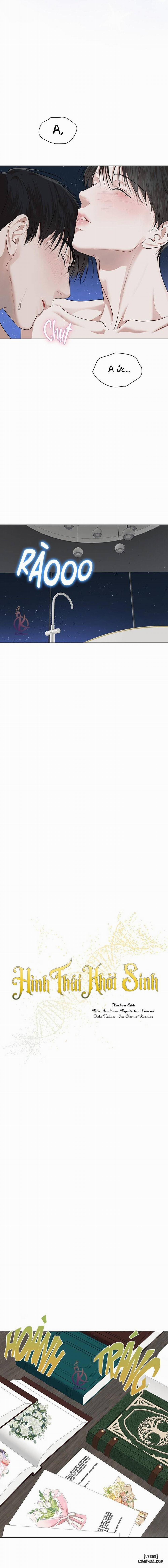 Hình thái khởi sinh 73 trang 6