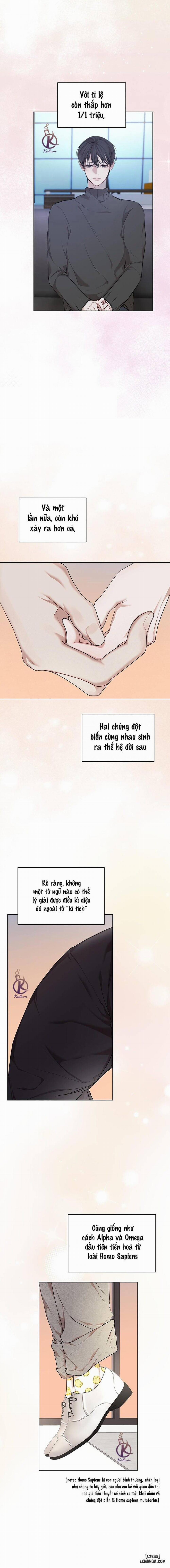 Hình thái khởi sinh 75 trang 10