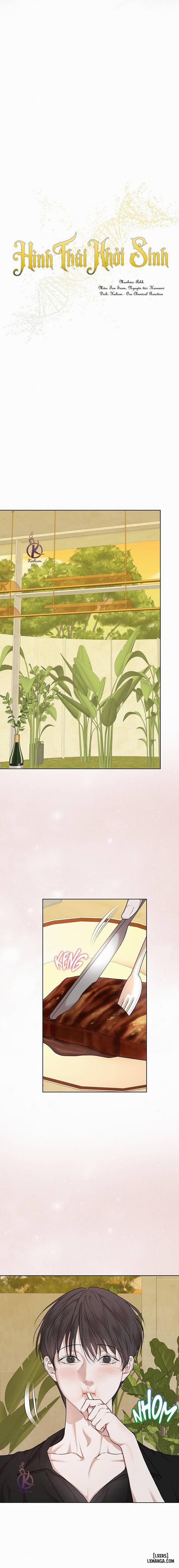 Hình thái khởi sinh 77 trang 2