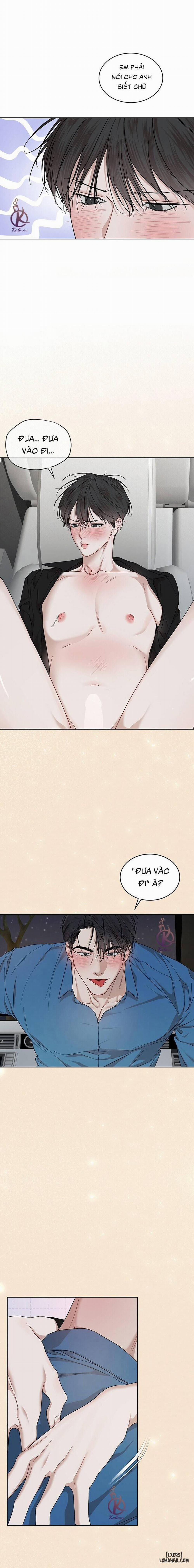 Hình thái khởi sinh 78 trang 11