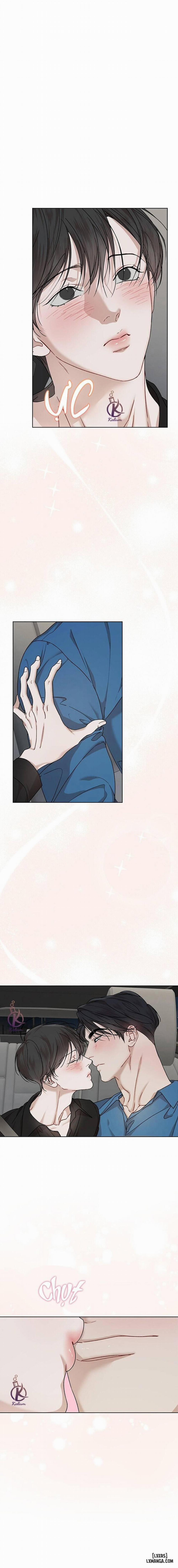 Hình thái khởi sinh 78 trang 2