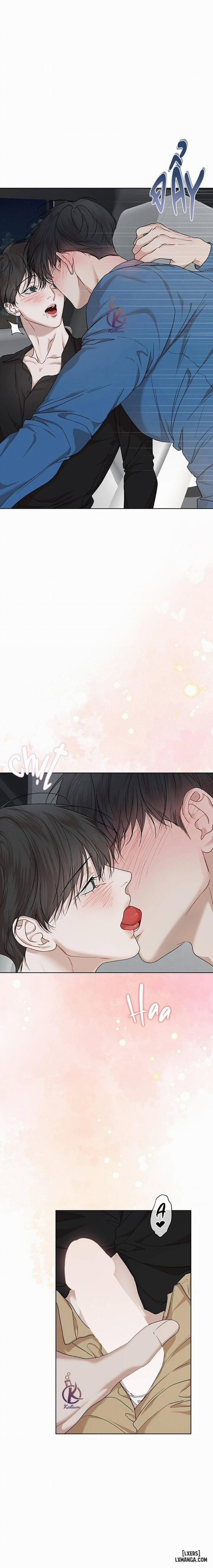 Hình thái khởi sinh 78 trang 7