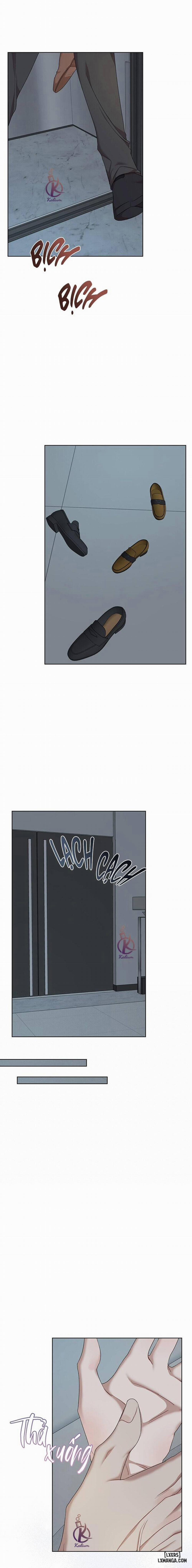 Hình thái khởi sinh 79 trang 3