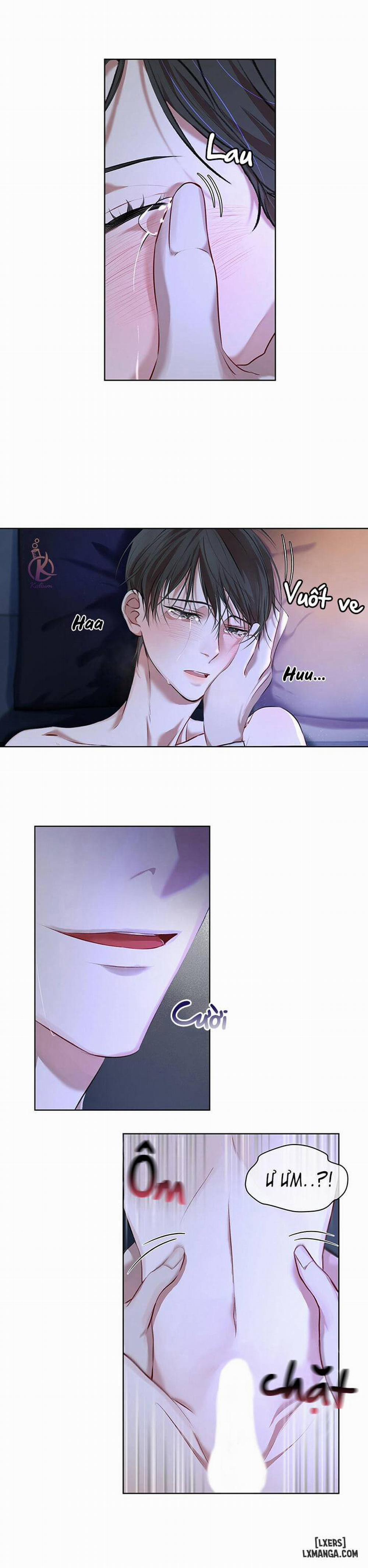 Hình thái khởi sinh 8 trang 10