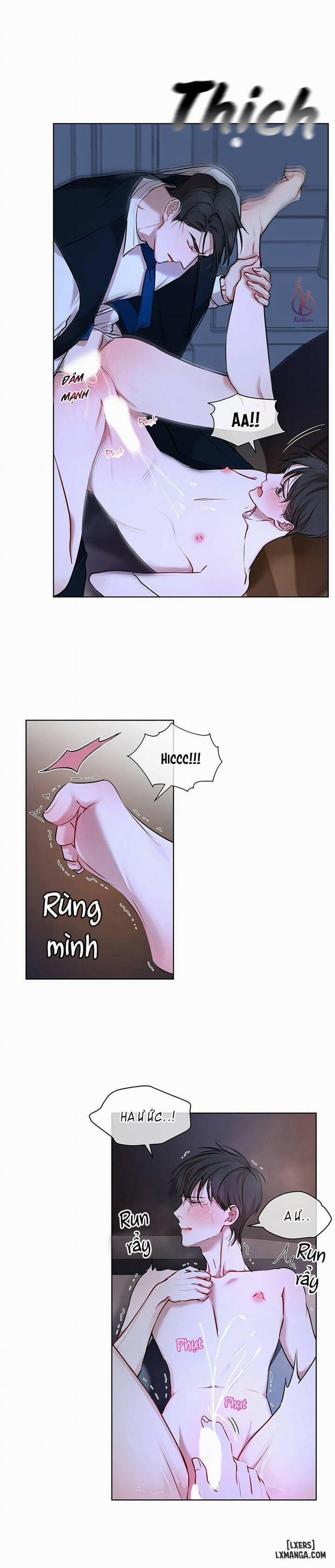 Hình thái khởi sinh 8 trang 16