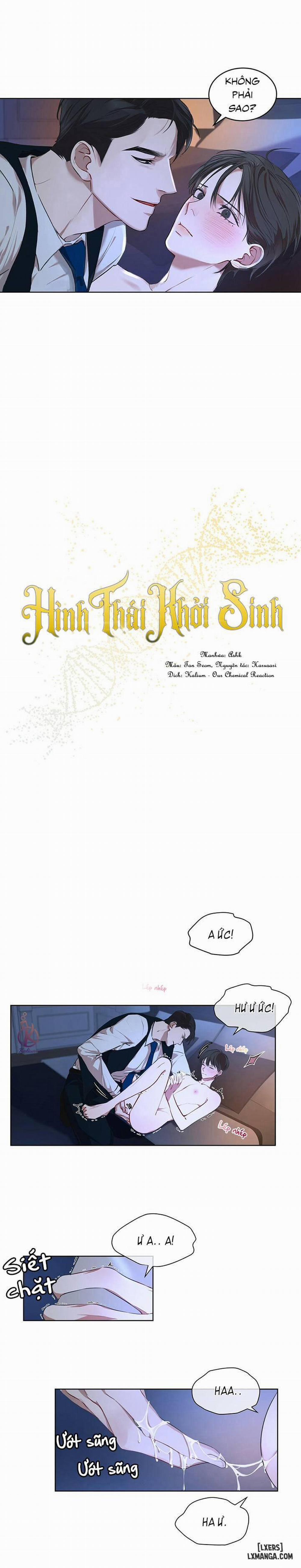 Hình thái khởi sinh 8 trang 2