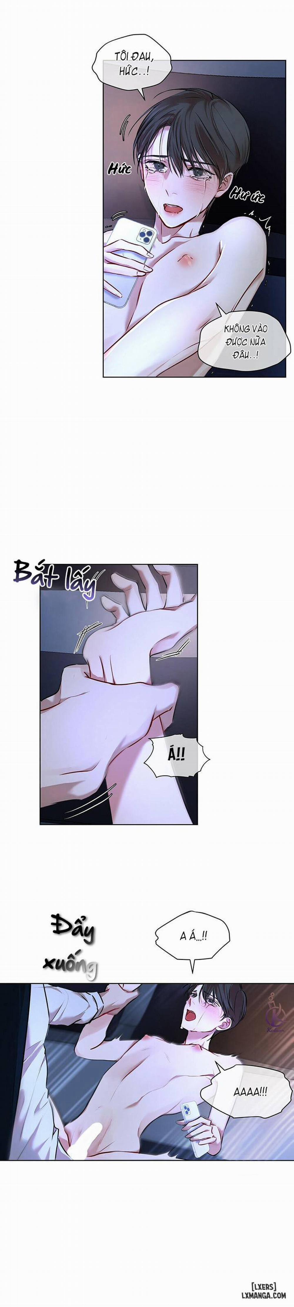 Hình thái khởi sinh 8 trang 8