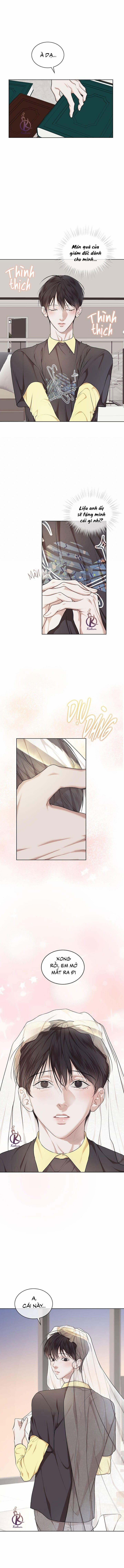 Hình thái khởi sinh 80 trang 4