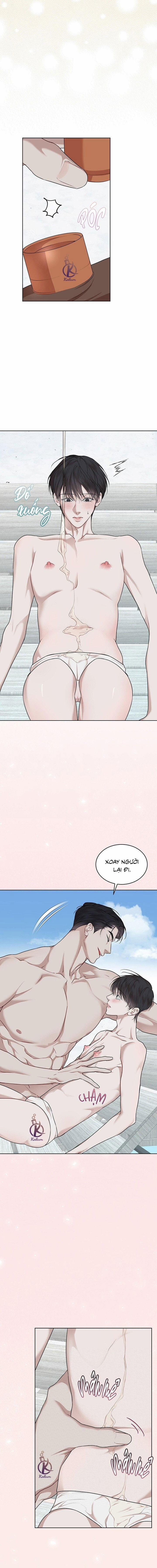 Hình thái khởi sinh 81 trang 6