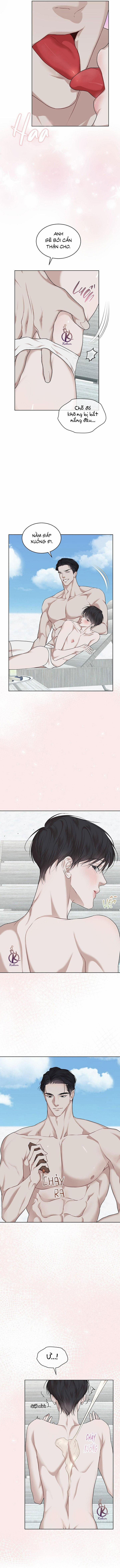 Hình thái khởi sinh 81 trang 8