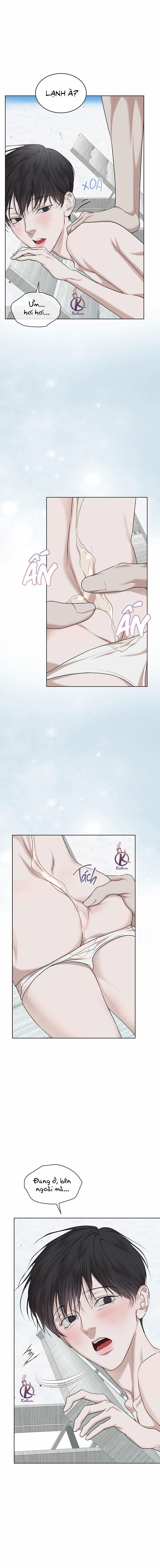 Hình thái khởi sinh 81 trang 9