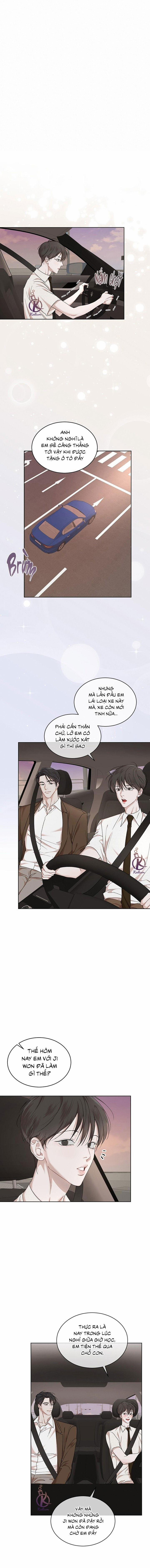 Hình thái khởi sinh 85 trang 12