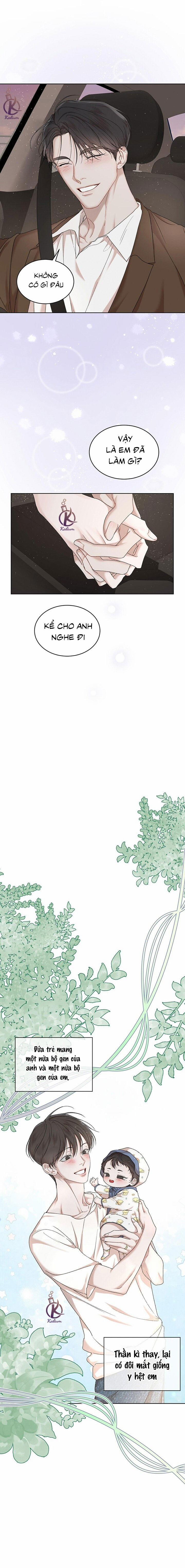 Hình thái khởi sinh 85 trang 14