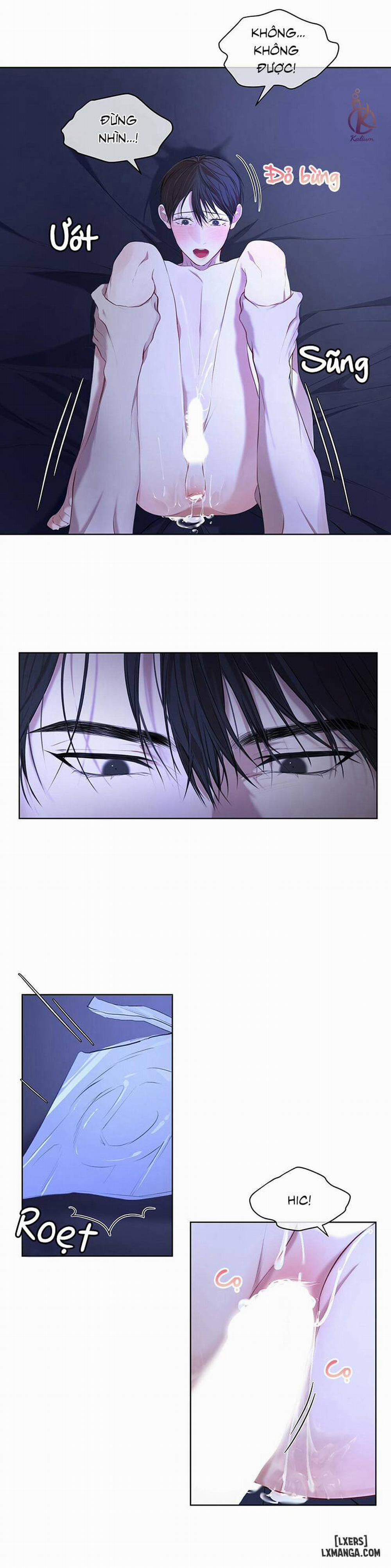 Hình thái khởi sinh 9 trang 8