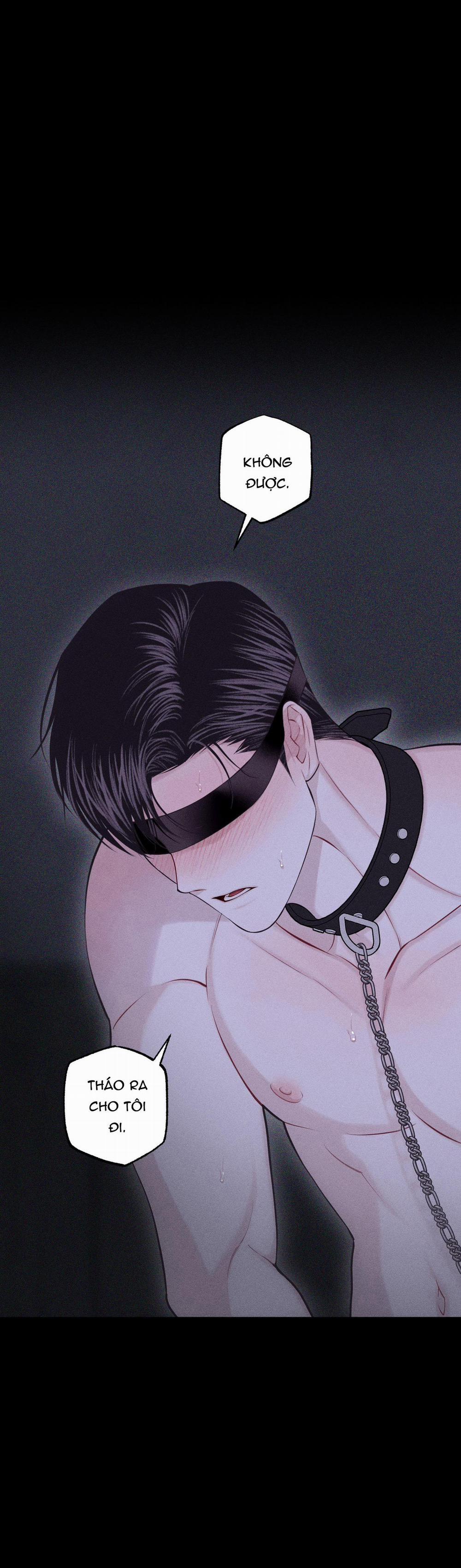 Hình Thái Tình Tan 53 trang 51