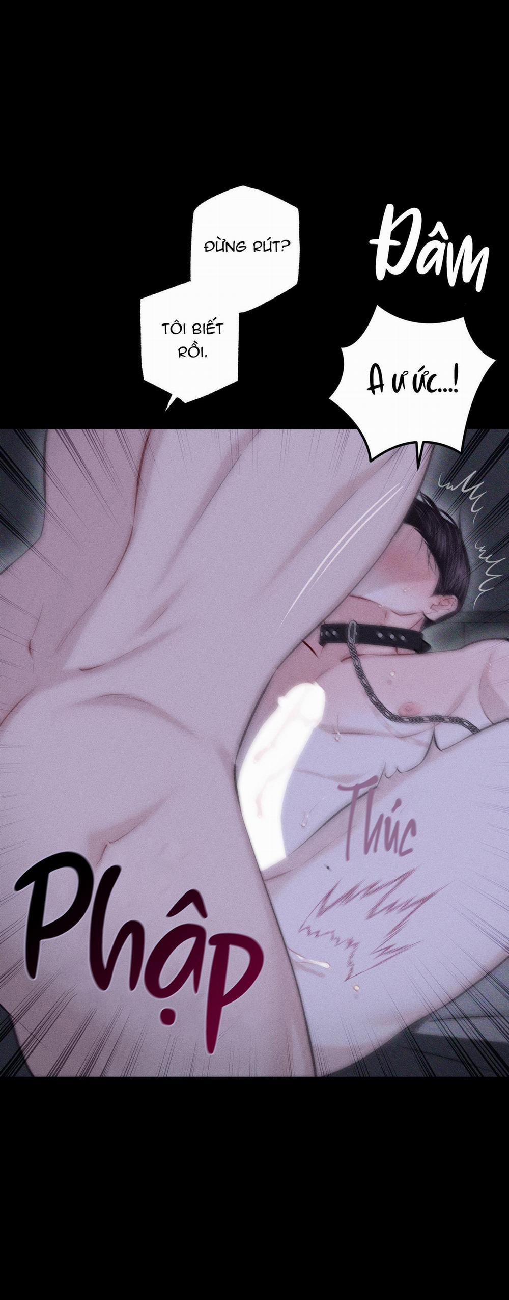 Hình Thái Tình Tan 54 trang 5