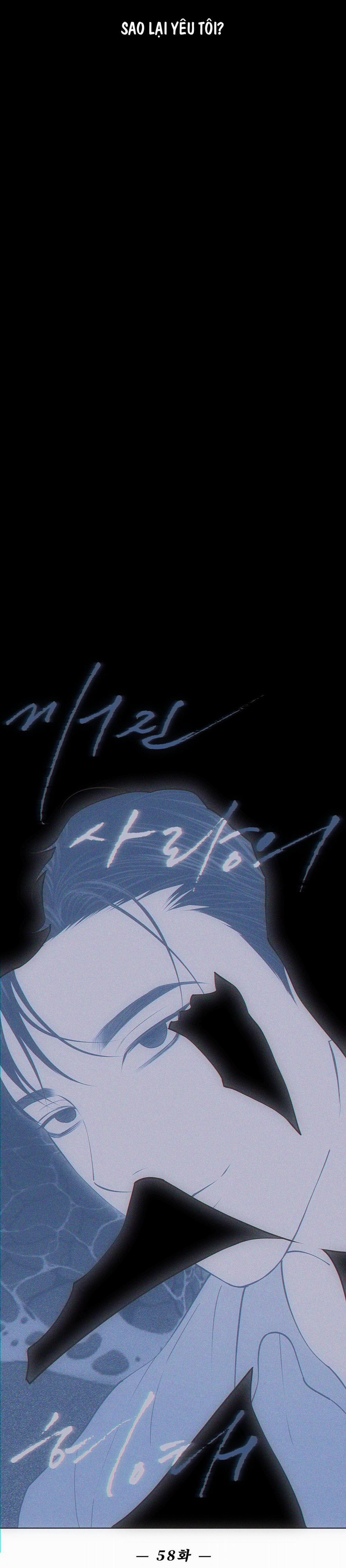 Hình Thái Tình Tan 58 ss3 trang 15