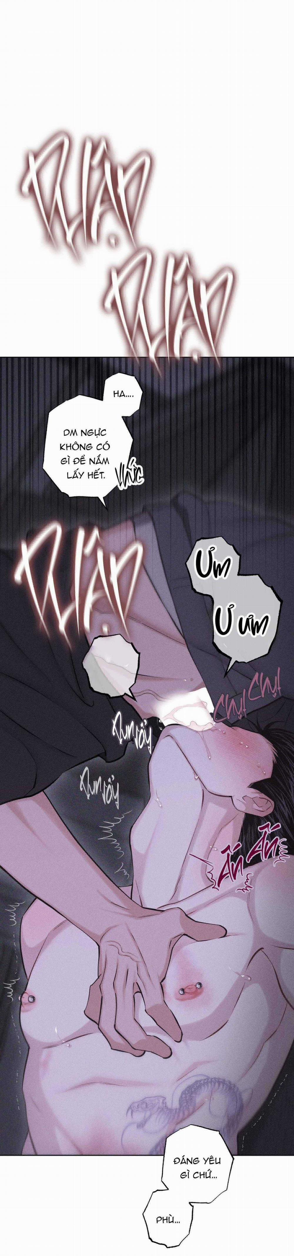 Hình Thái Tình Tan 60 trang 17