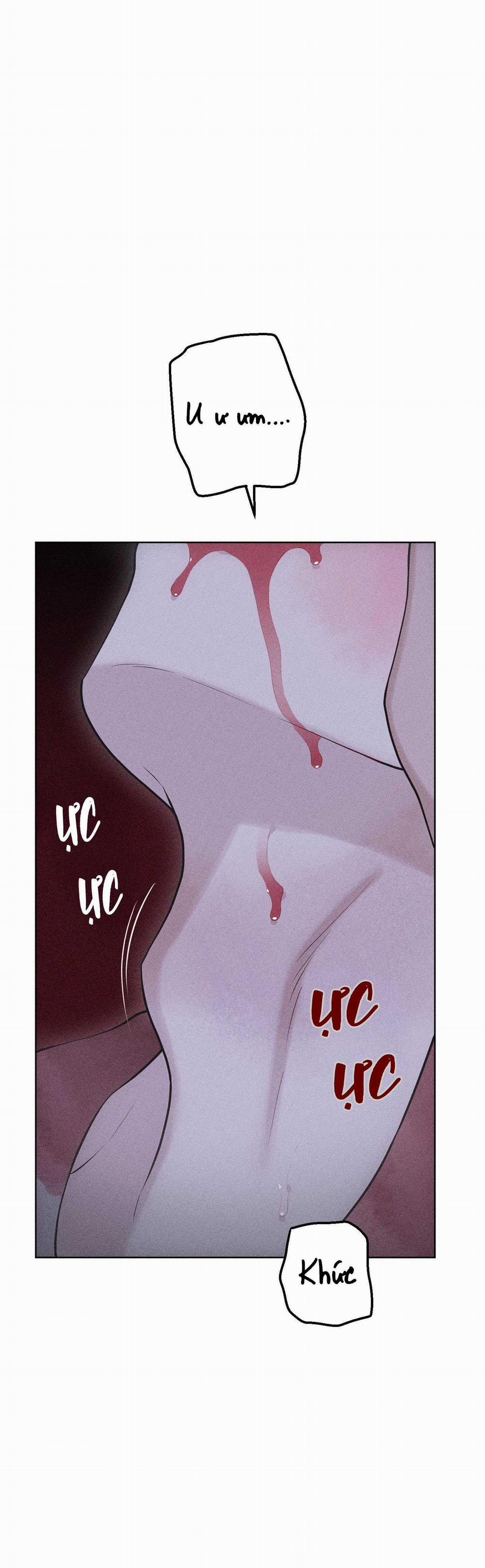 Hình Thái Tình Tan 65 trang 11