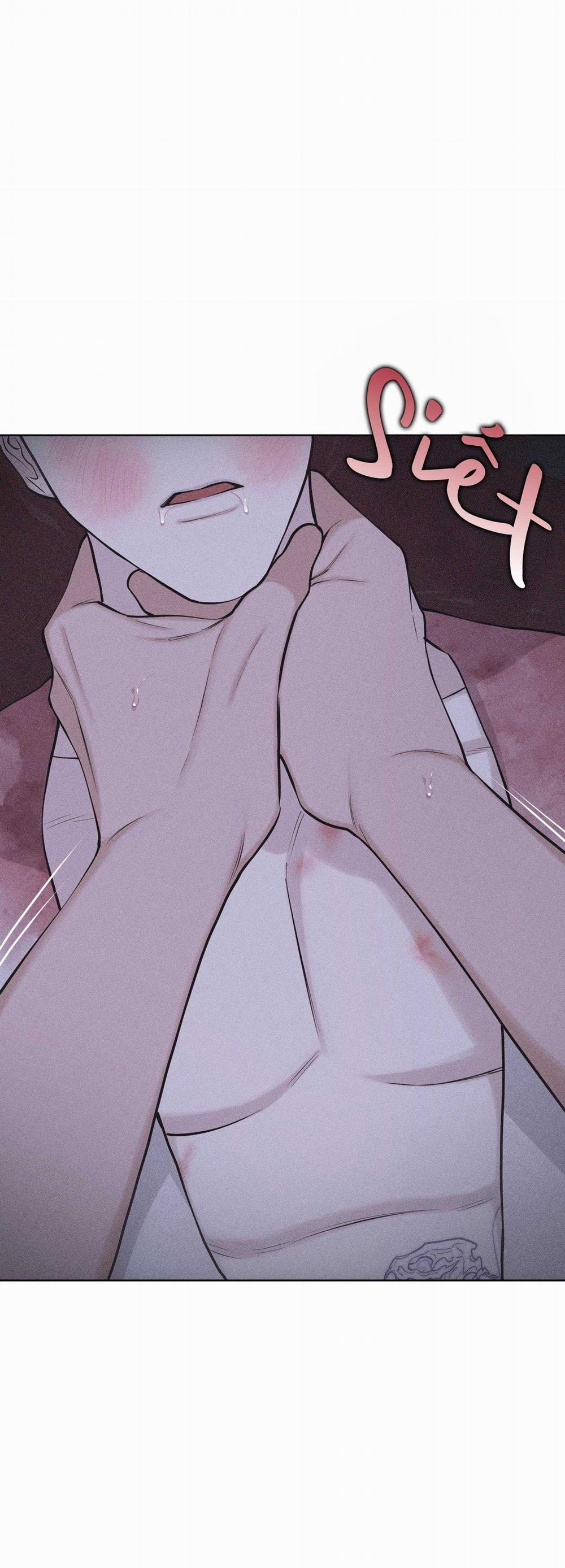 Hình Thái Tình Tan 65 trang 52