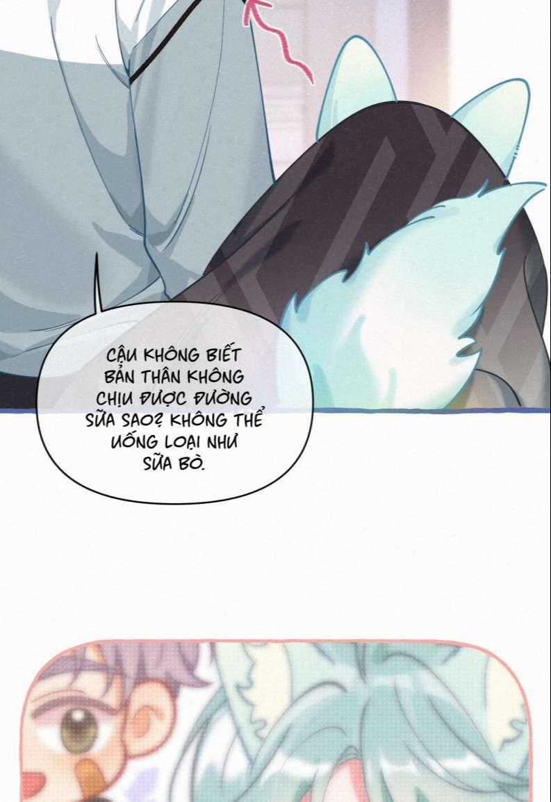 Hồ Ly Rắc Rối 11 trang 7