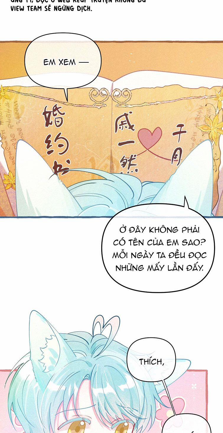 Hồ Ly Rắc Rối 3 trang 4