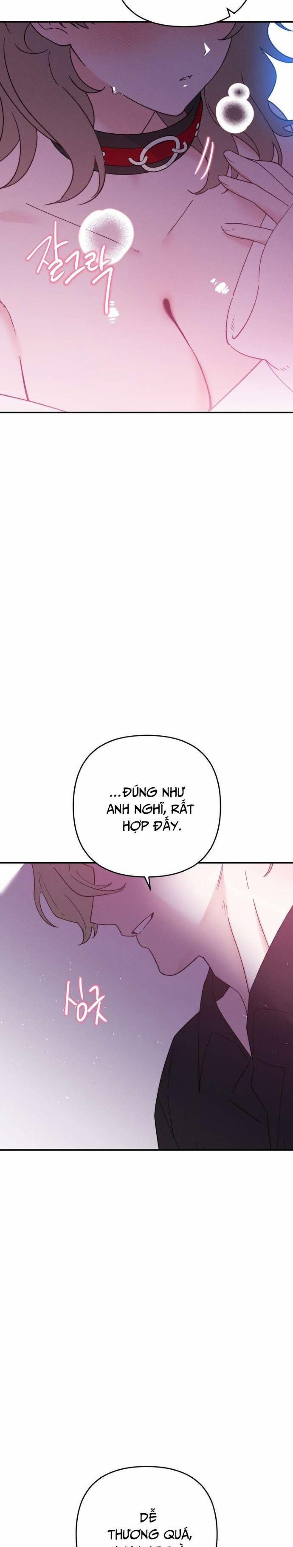 Họ Sẽ Mãi Hạnh Phúc Bên Nhau 9 trang 0