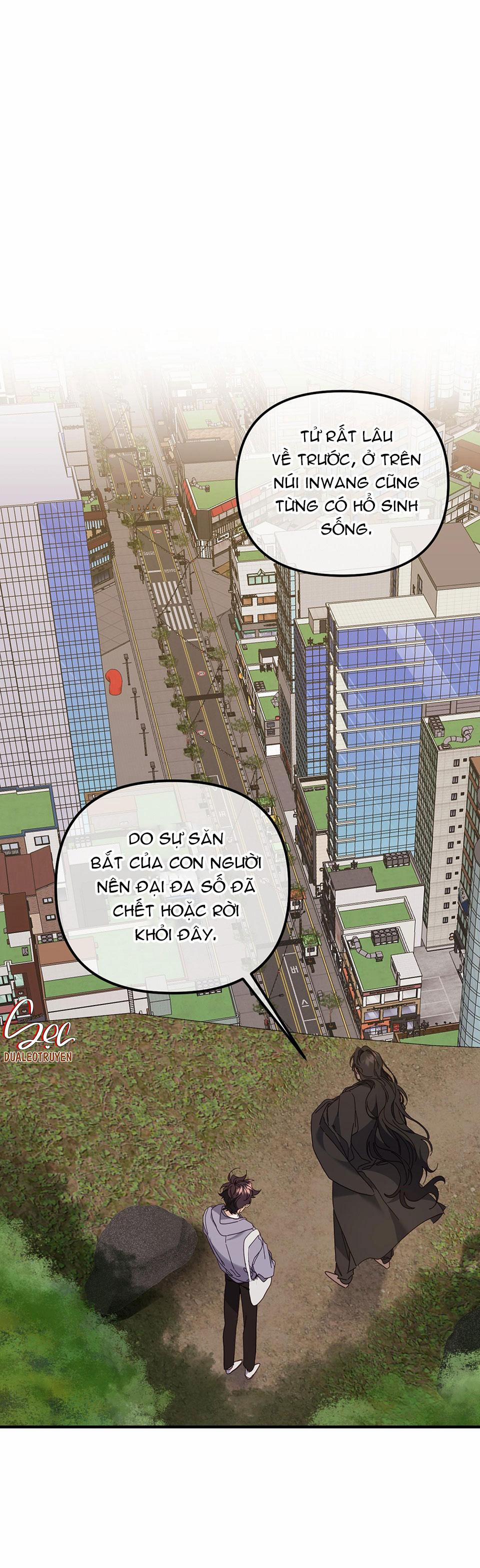 Hổ Trở Về 27 trang 10