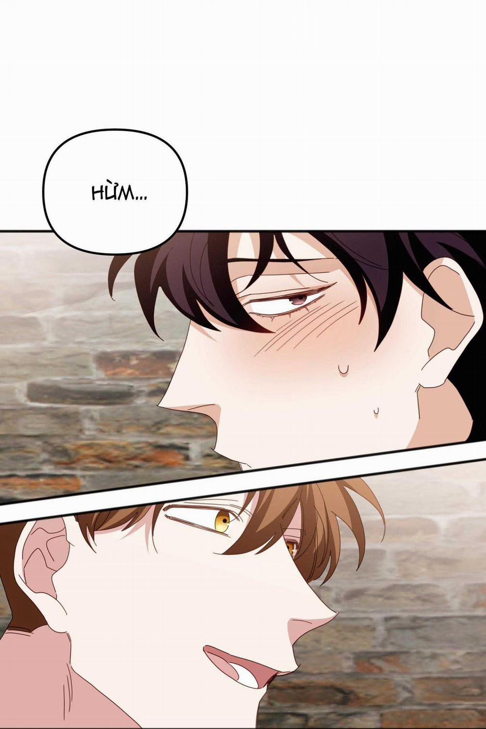 Hổ Trở Về 40 trang 29