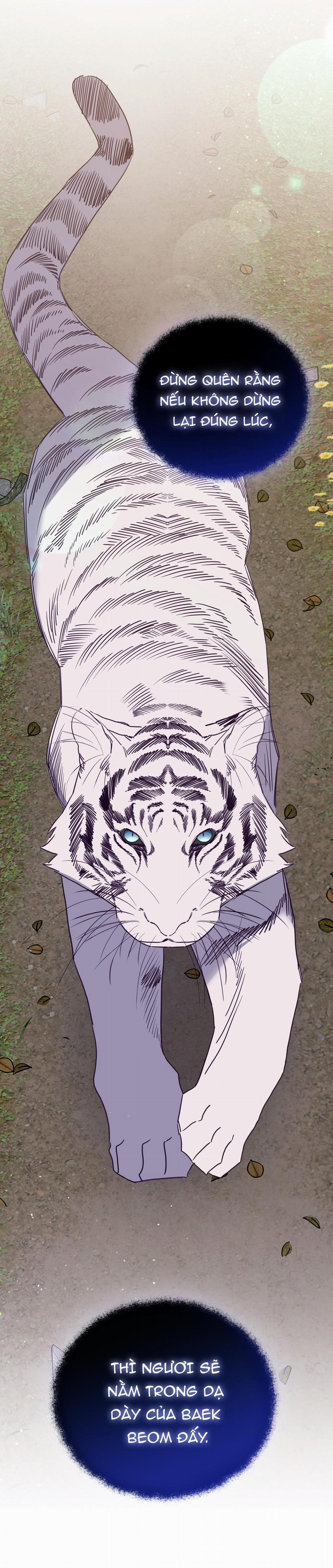 Hổ Trở Về 42 trang 11