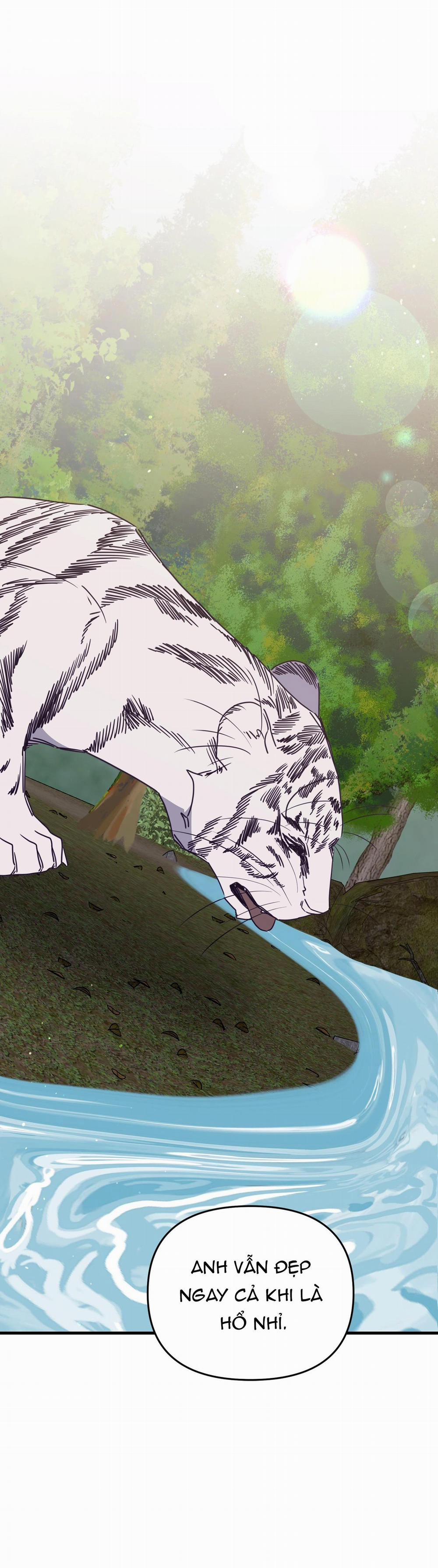 Hổ Trở Về 42 trang 43