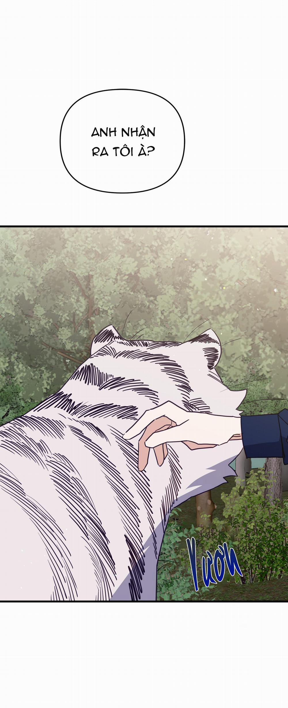 Hổ Trở Về 42 trang 56