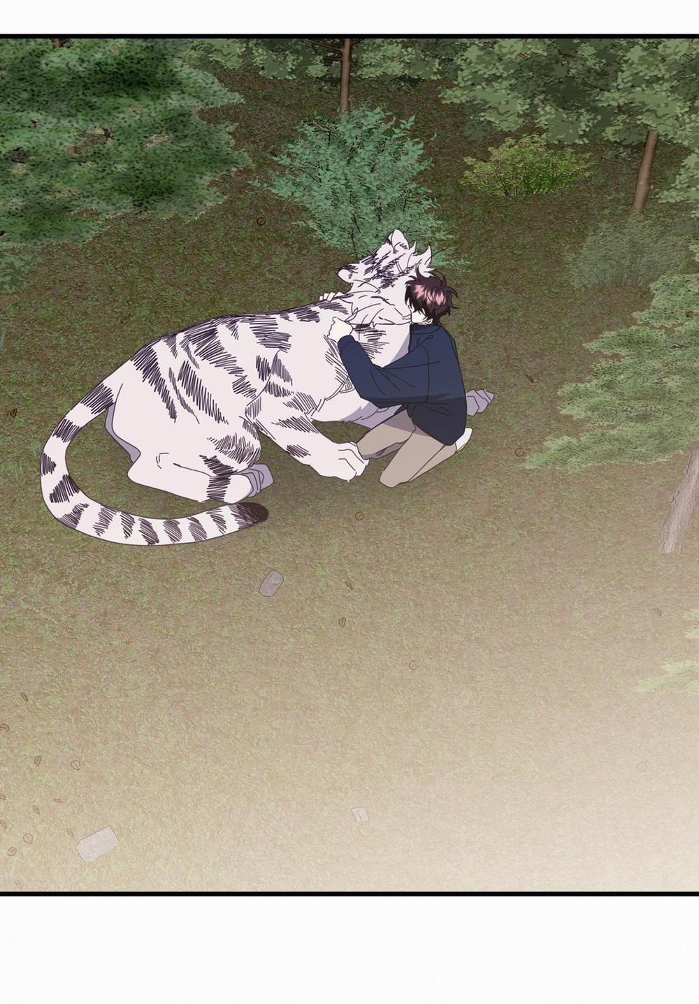 Hổ Trở Về 42 trang 77