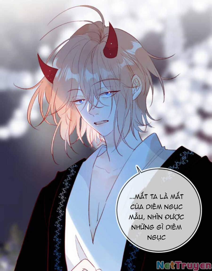 Hoa Dữ Ẩn Nặc Chi Ô 127 trang 12