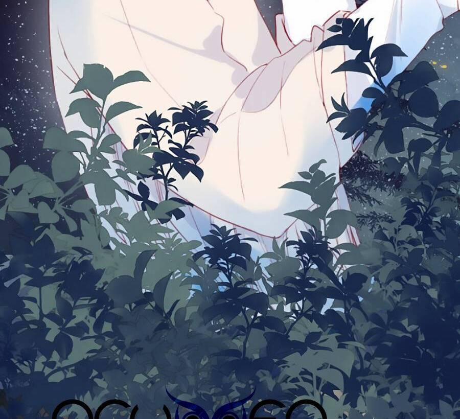 Hoa Dữ Ẩn Nặc Chi Ô 136 trang 4