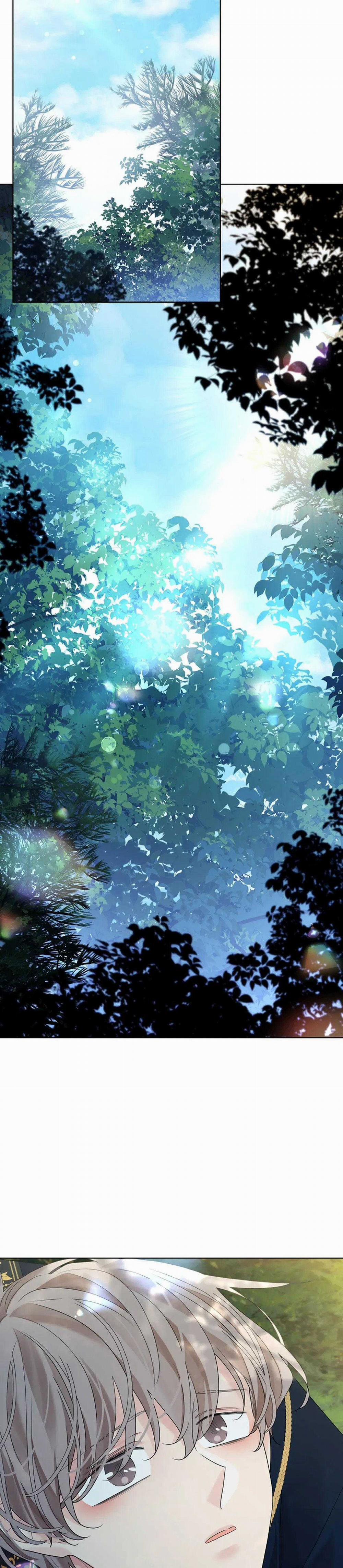 Hoa Giấy 100 trang 18