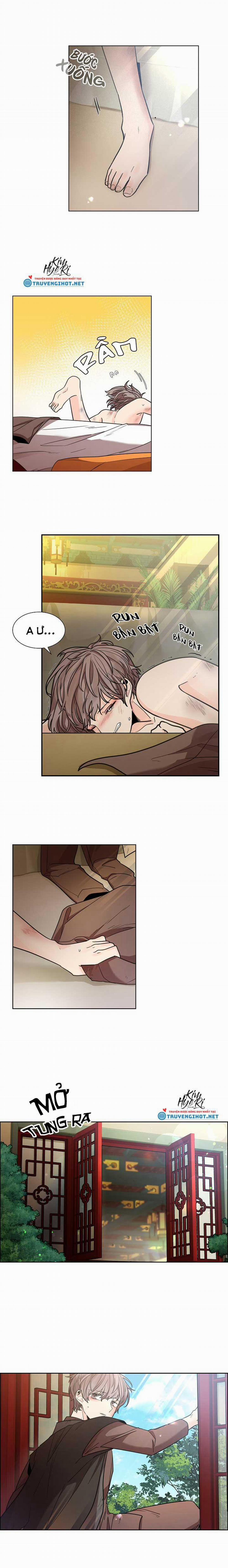 Hoa Giấy 5.3 trang 1