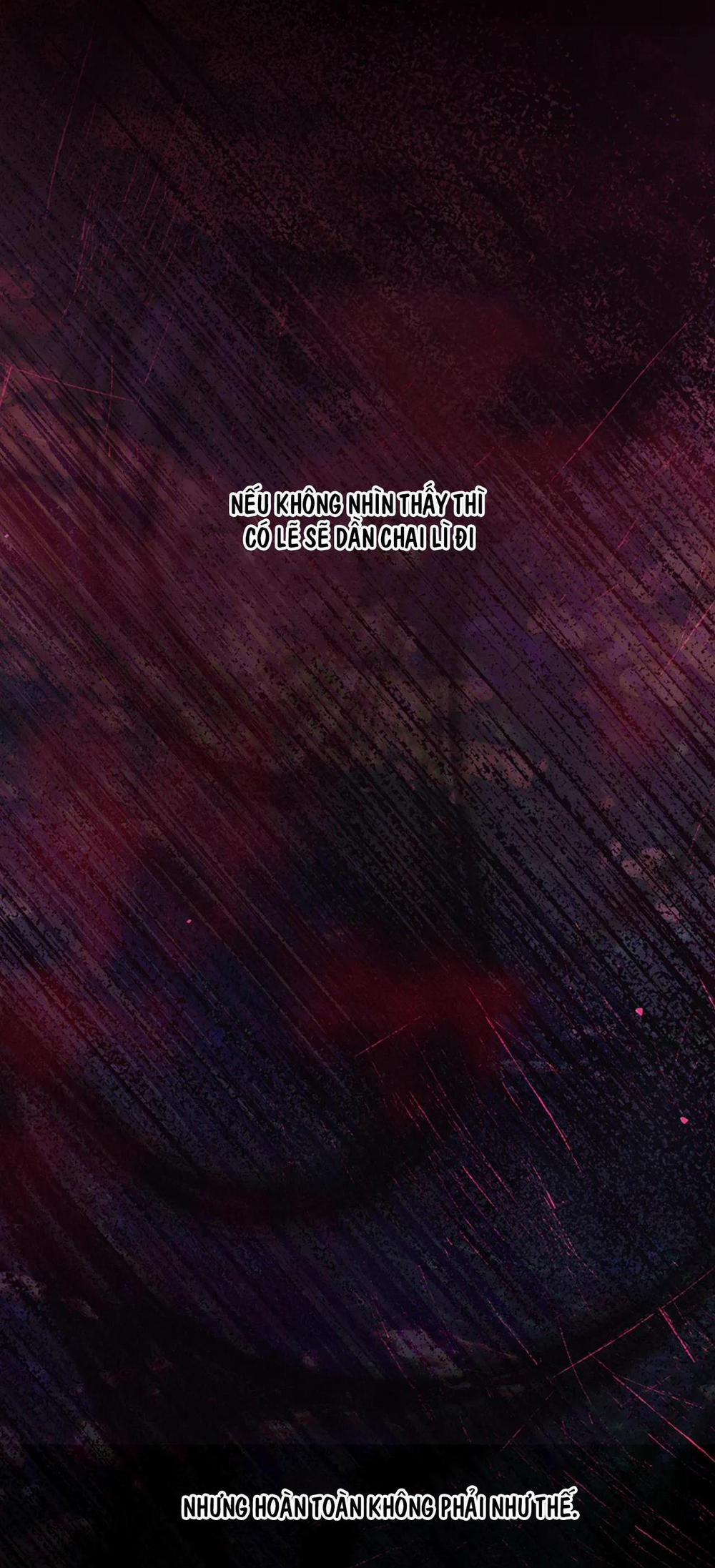 Hoa Giấy 64 trang 12