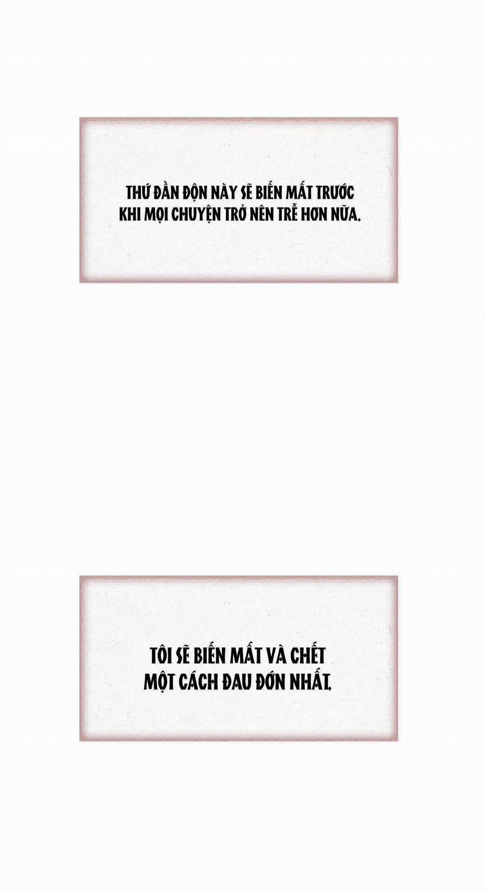 Hoa Giấy 73 trang 41