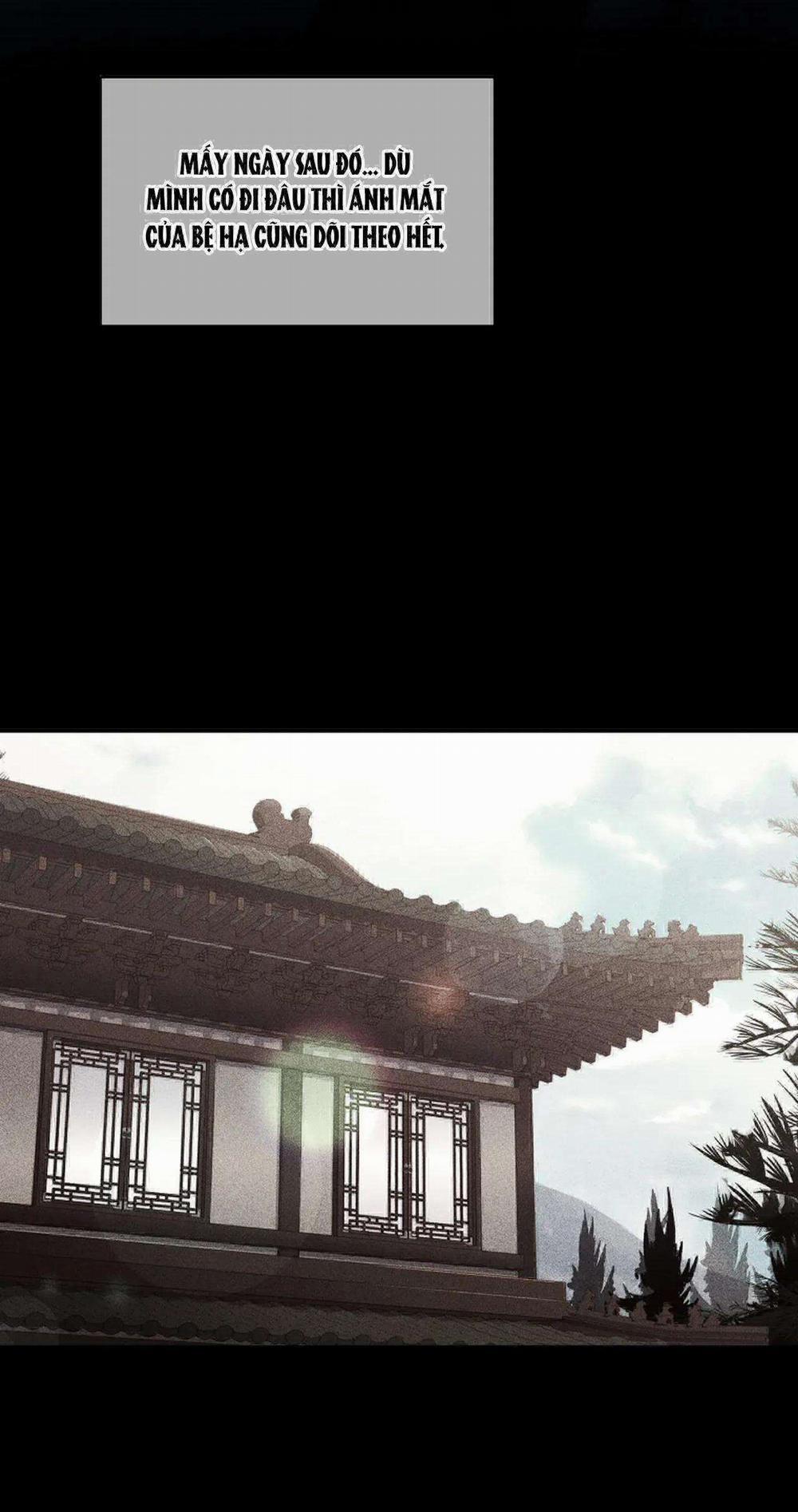 Hoa Giấy 78 trang 48