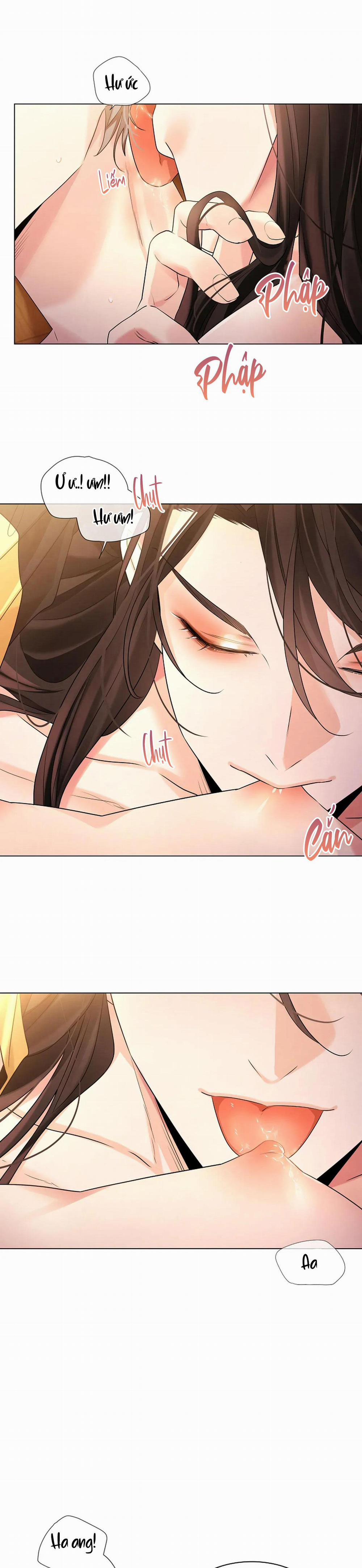 Hoa Giấy 88 H+++ trang 13