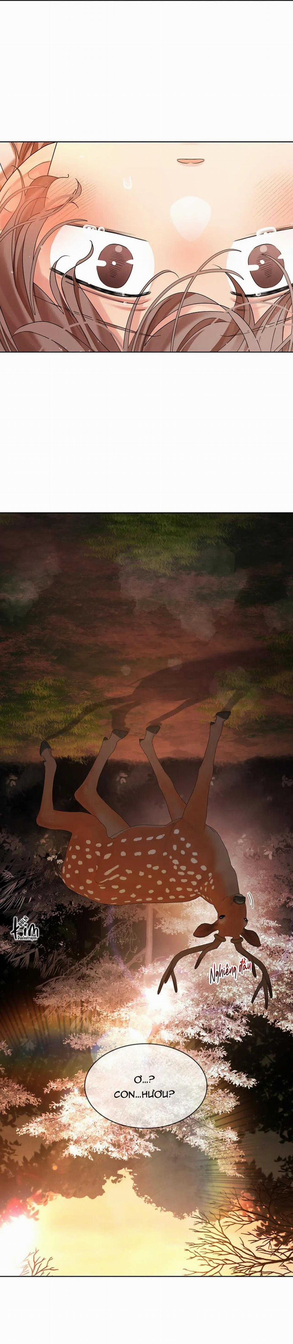 Hoa Giấy 99 trang 59