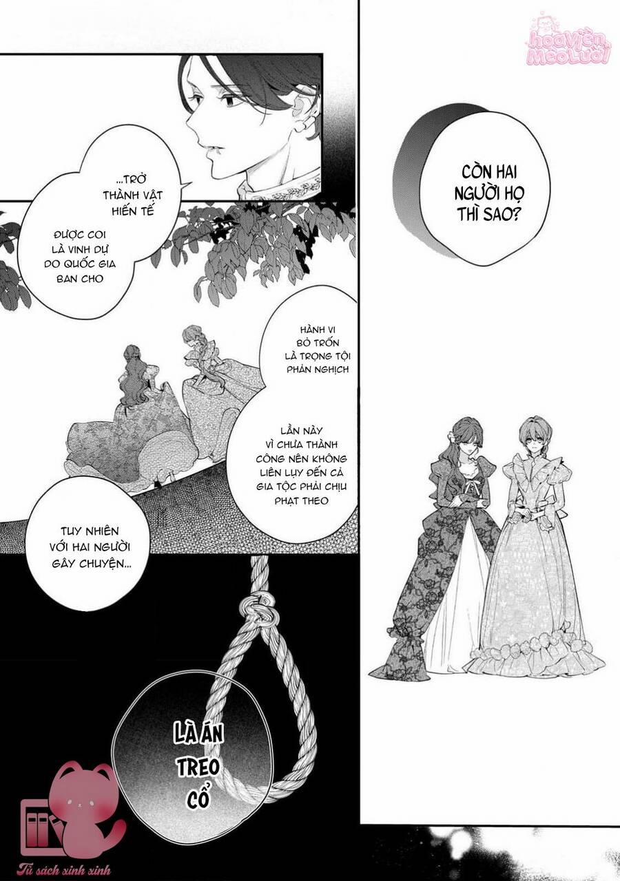 Hoa Hồng Ẩn Giấu Sao Băng 10 trang 14