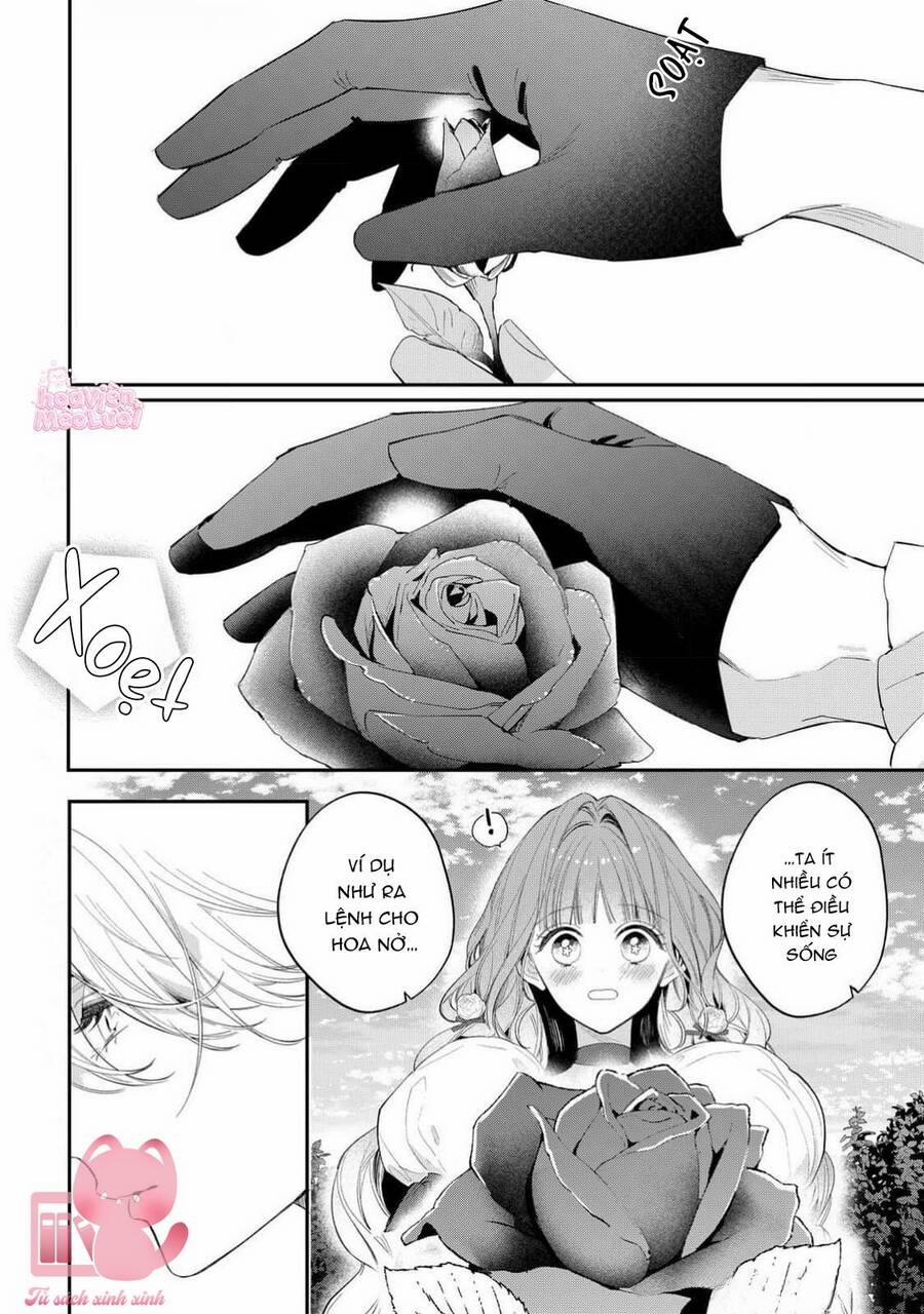 Hoa Hồng Ẩn Giấu Sao Băng 13 trang 28
