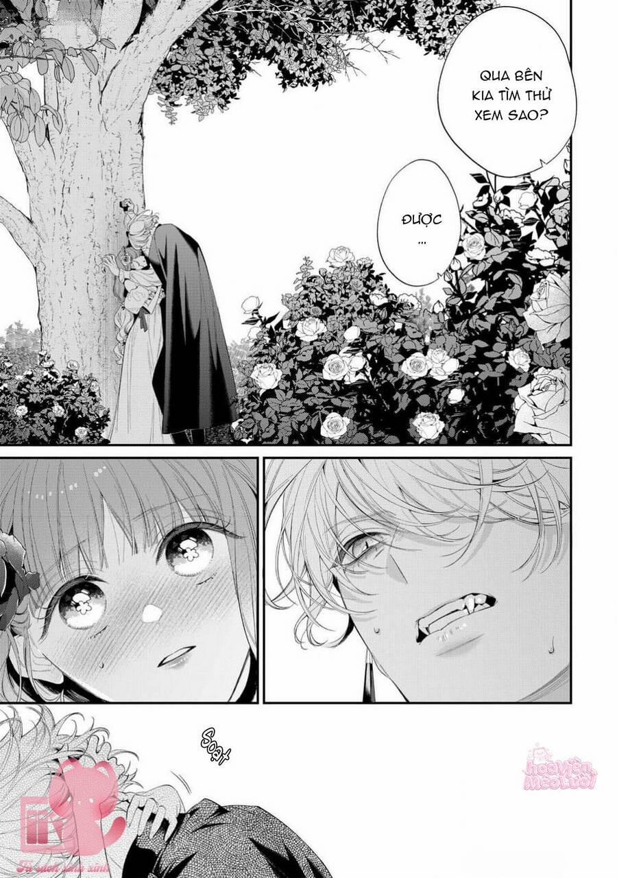 Hoa Hồng Ẩn Giấu Sao Băng 14 trang 11