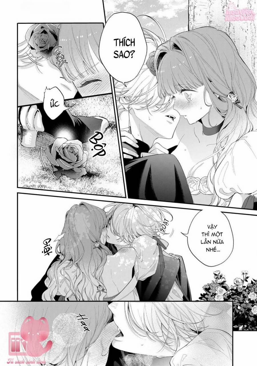Hoa Hồng Ẩn Giấu Sao Băng 14 trang 18